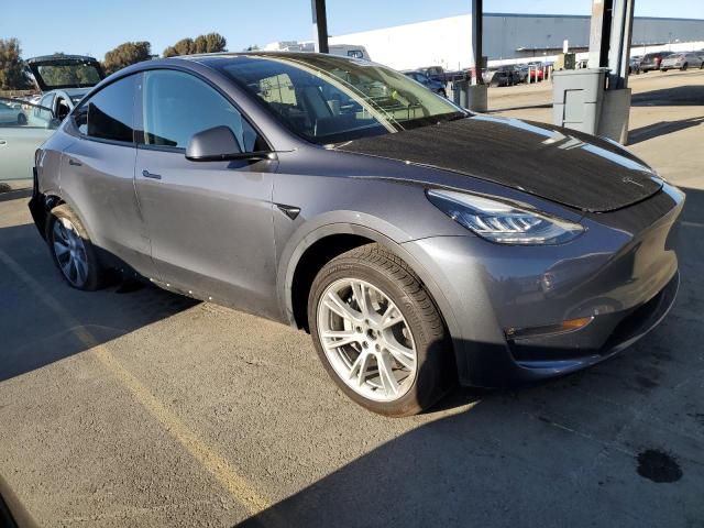 2023 TESLA MODEL Y - 7SAYGDEE7PF617386