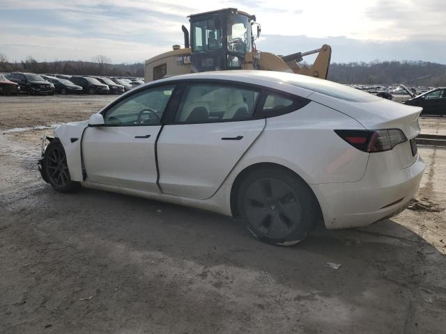 2023 TESLA MODEL 3 5YJ3E1EA1PF567500