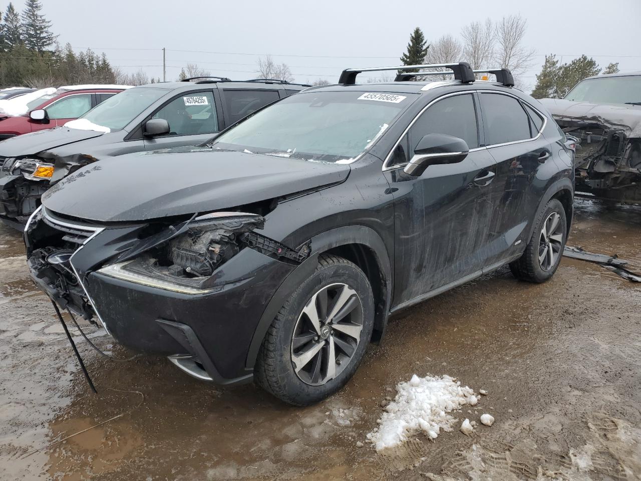 LEXUS NX 300H