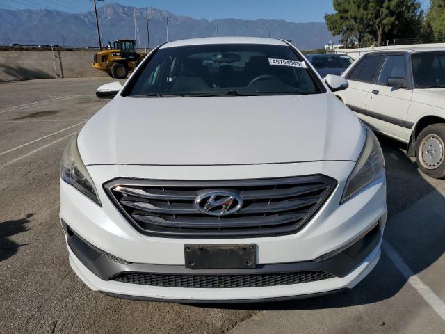 2017 HYUNDAI SONATA SPO - 5NPE34AB1HH499913