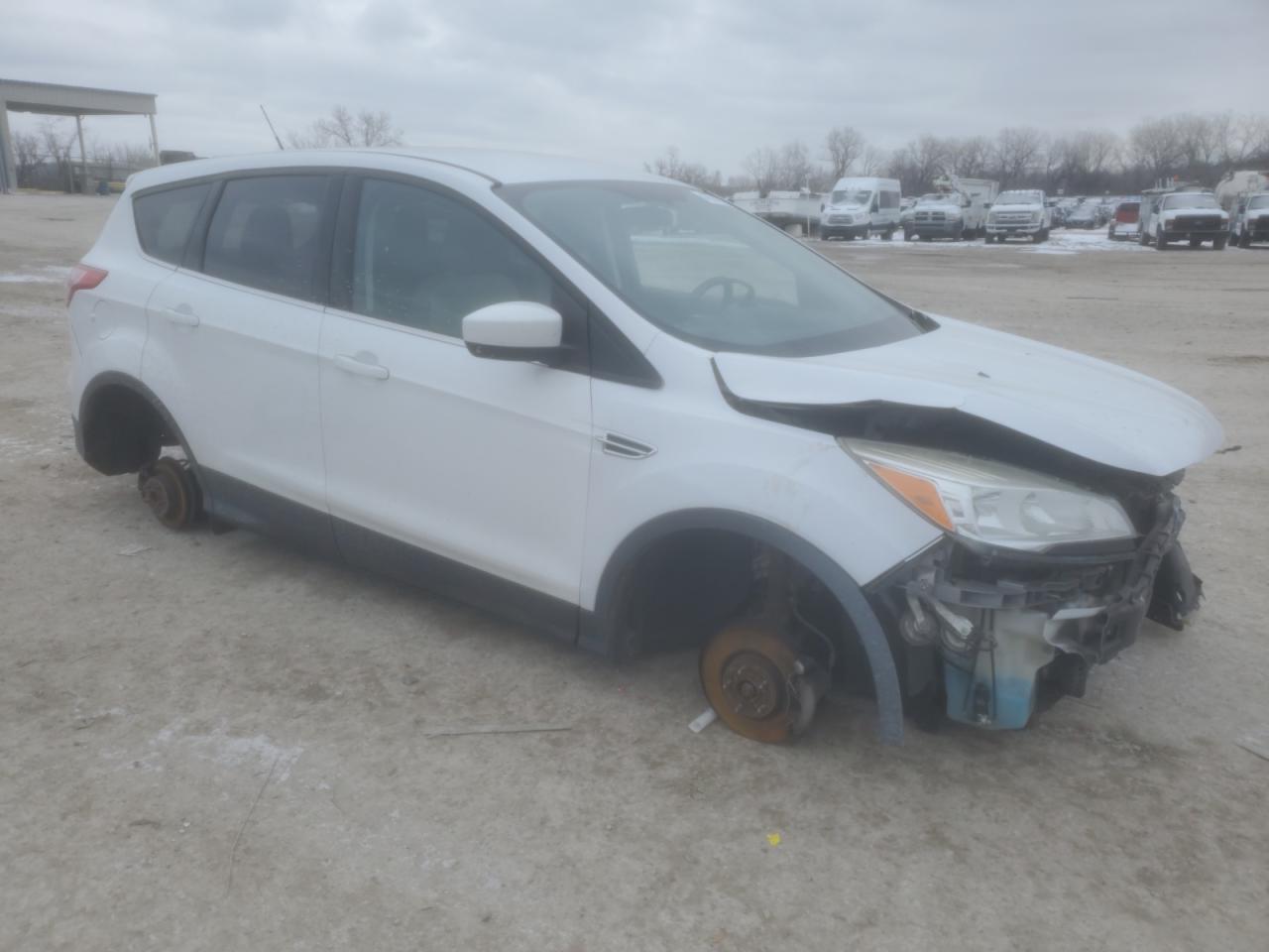 Lot #3139818613 2014 FORD ESCAPE SE