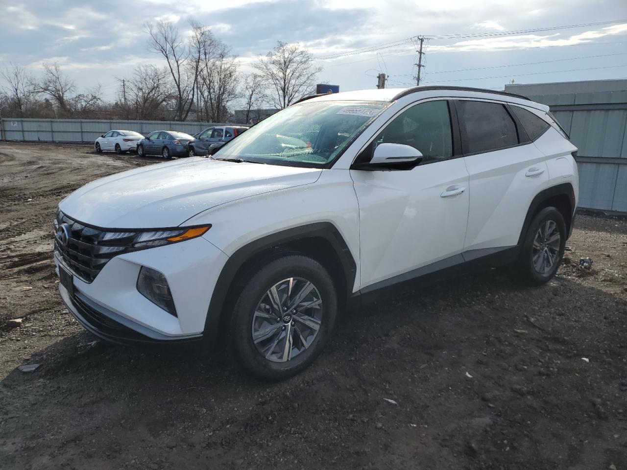 KM8JBCA10NU029999 HYUNDAI TUCSON BLU 2022