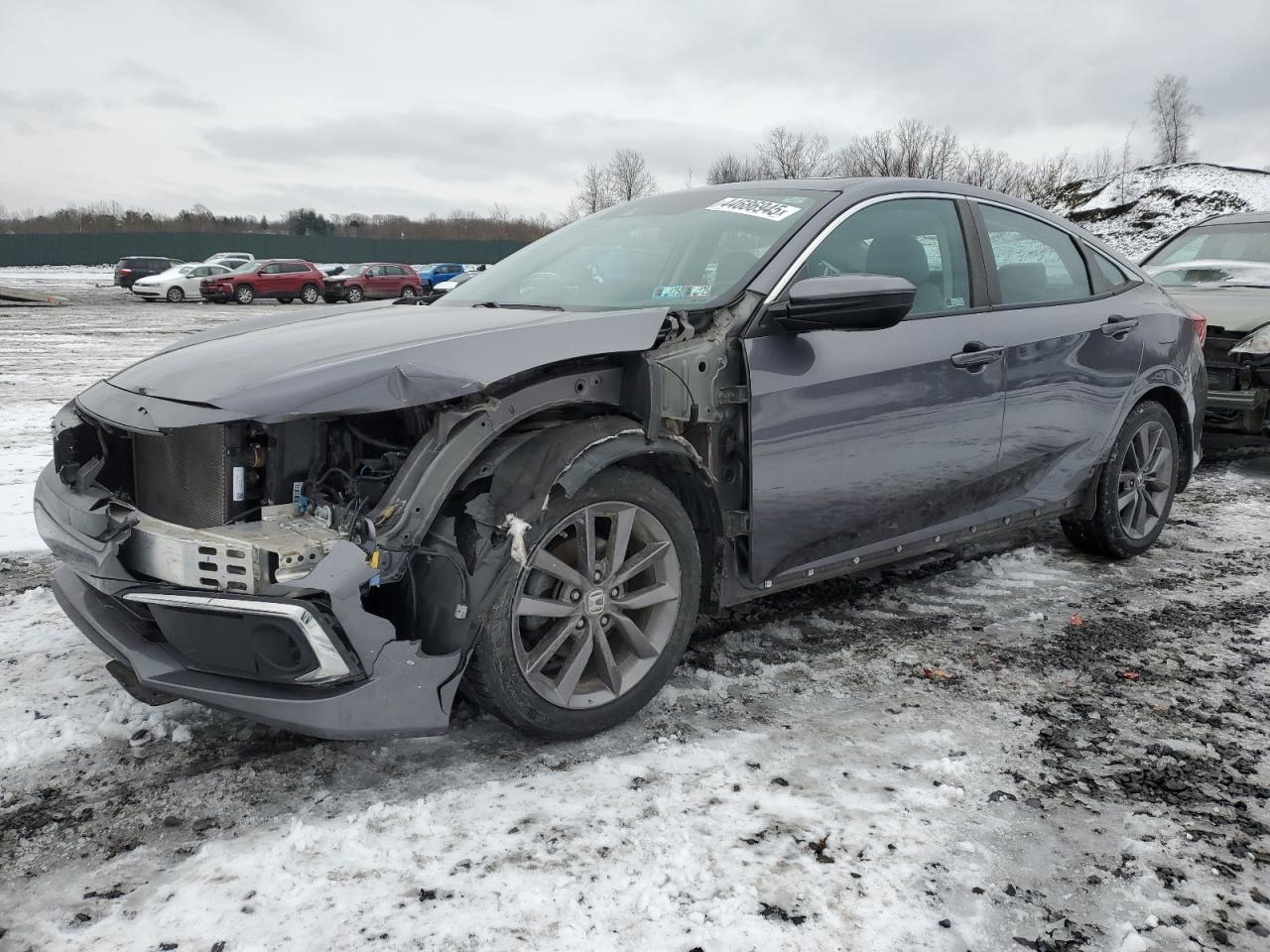 19XFC1F31LE207646 HONDA CIVIC EX 2020