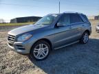 2015 MERCEDES-BENZ ML 350 - 4JGDA5JB6FA481284