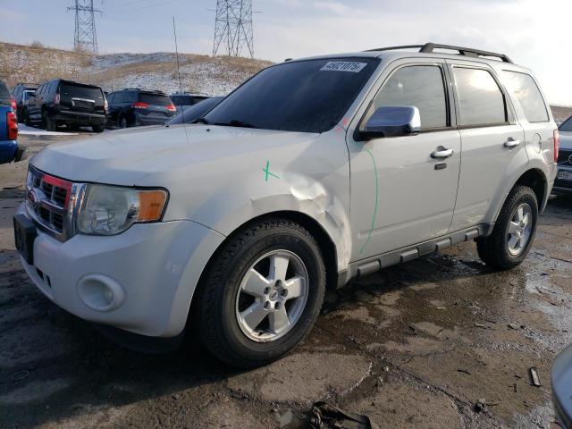 FORD ESCAPE XLT