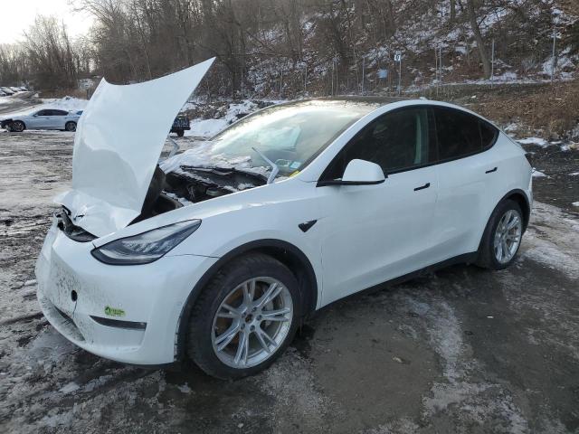 Vin: 5yjygaee7mf281875, lot: 45351495, tesla model y 2021 img_1