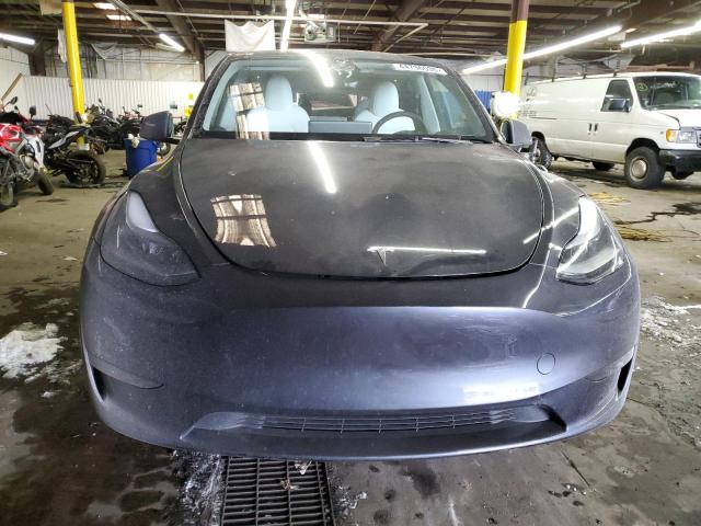 2025 TESLA MODEL Y - 7SAYGDEF4SA346883
