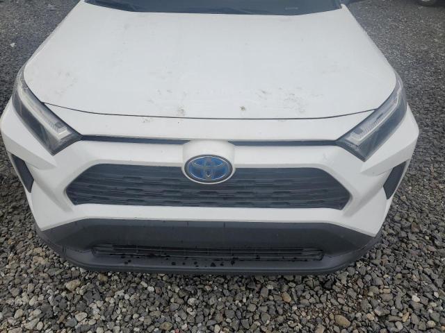 2024 TOYOTA RAV4 XLE - 4T3RWRFV4RU127906