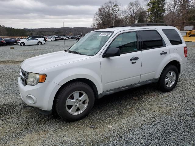 FORD ESCAPE XLT