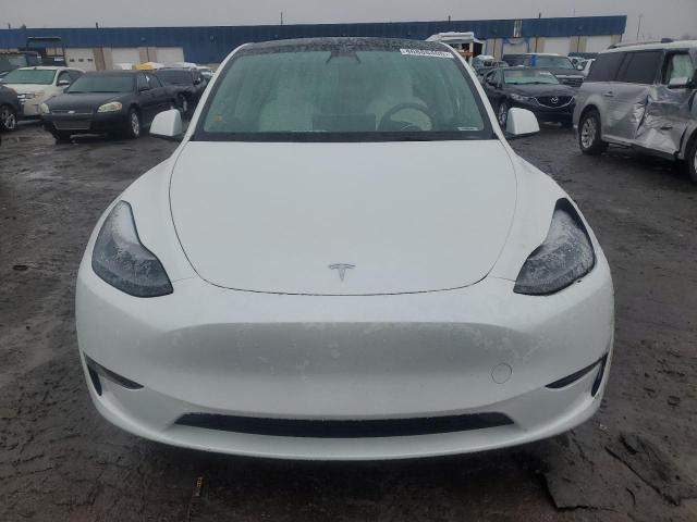 2023 TESLA MODEL Y - 7SAYGDEF1PF714446
