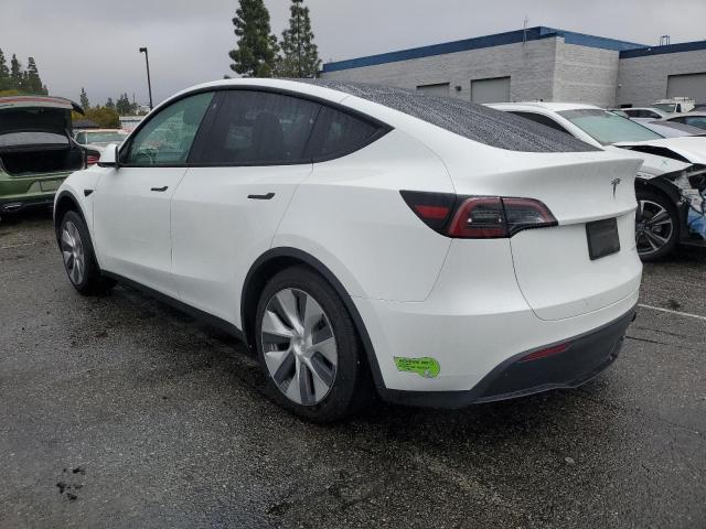 2023 TESLA MODEL Y 7SAYGDEE5PF621601