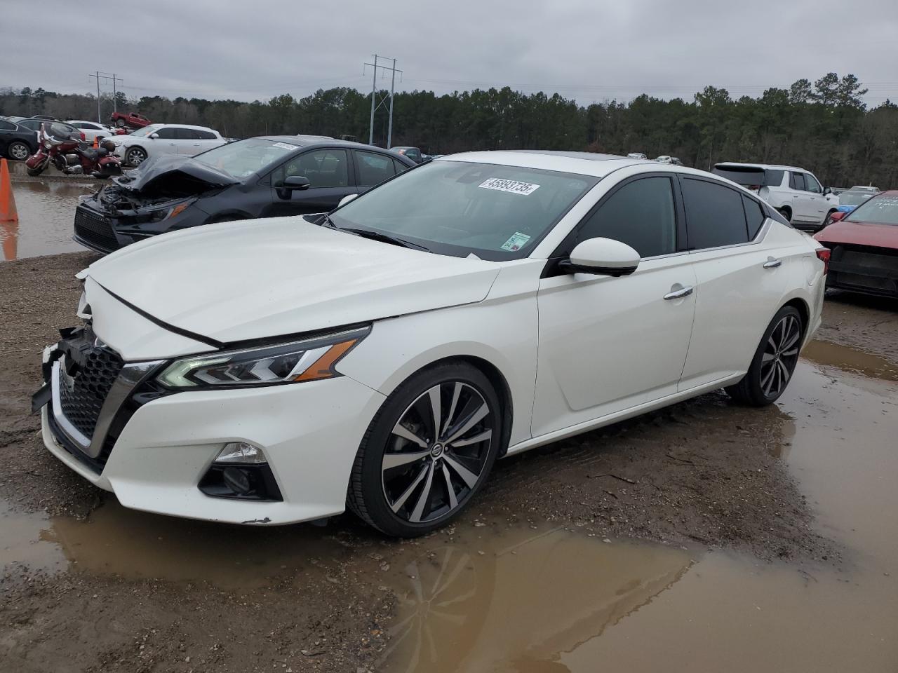 1N4BL4FV7KC116085 NISSAN ALTIMA PLA 2019