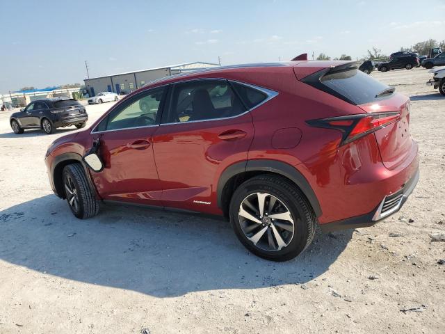 2019 LEXUS NX 300H JTJBJRBZ0K2125008