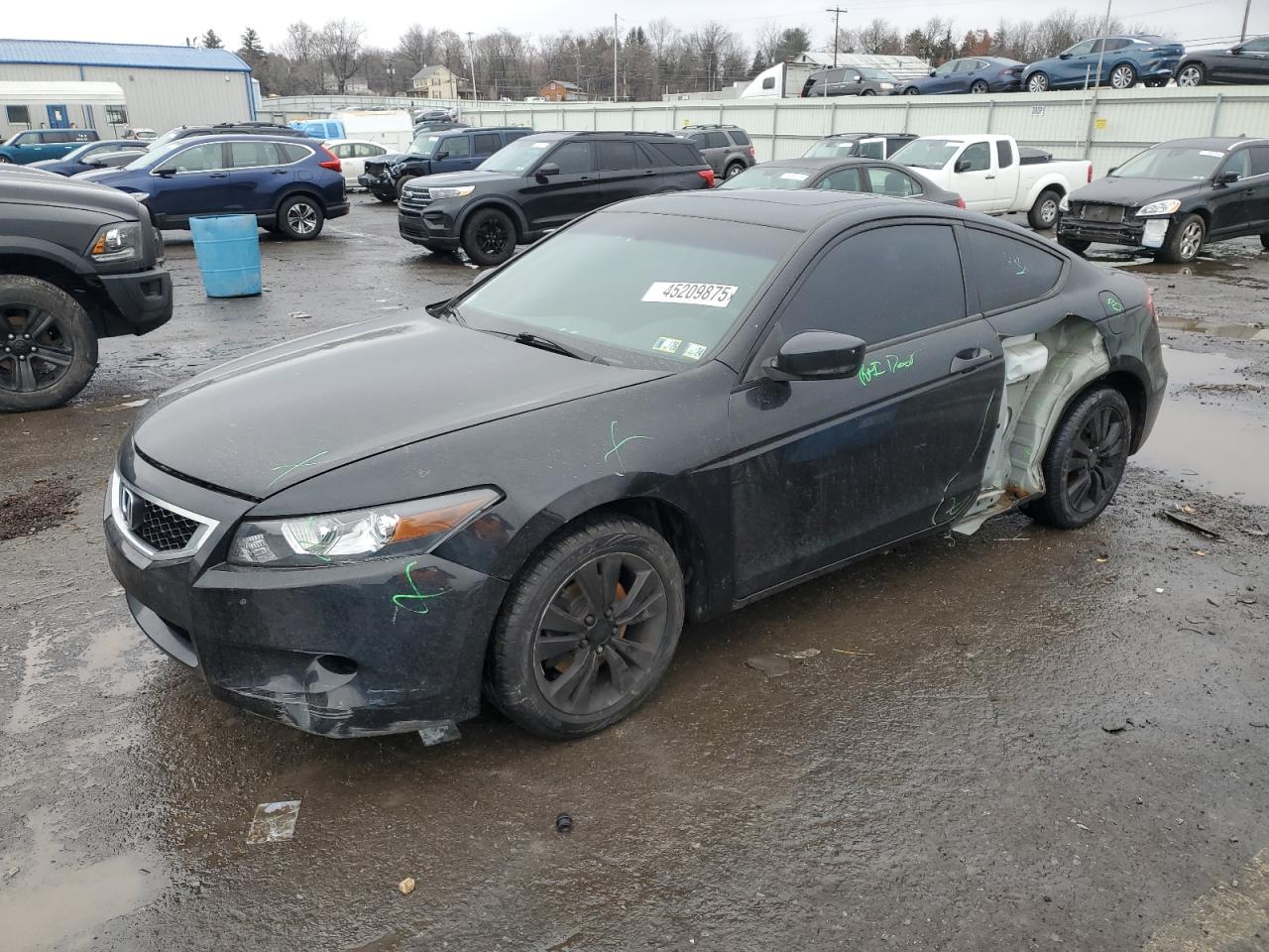 HONDA ACCORD EX