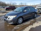 Top Destinations for Shipping Cars from the USA
