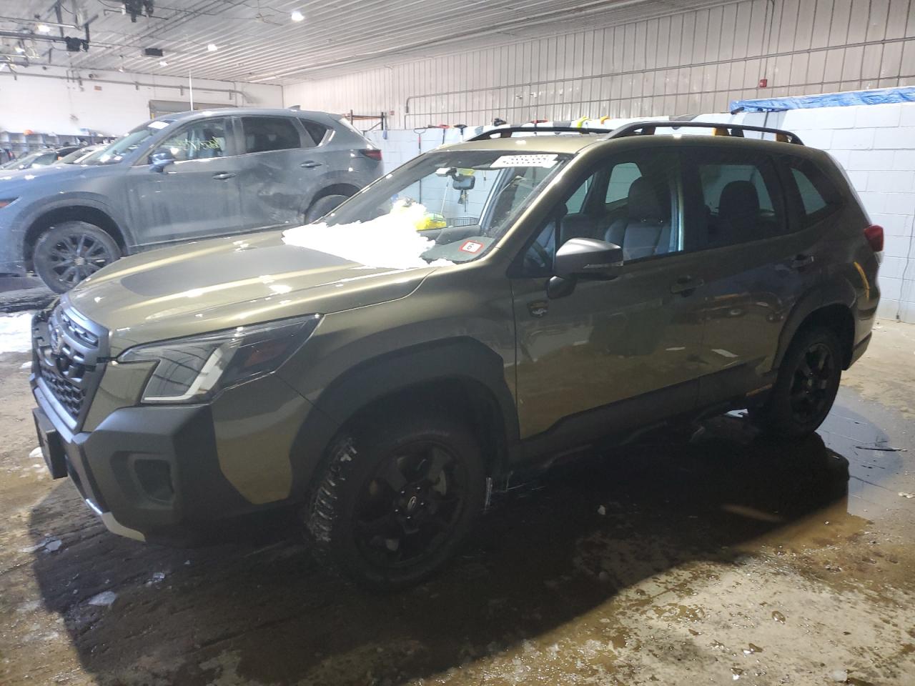 SUBARU FORESTER WILDERNESS