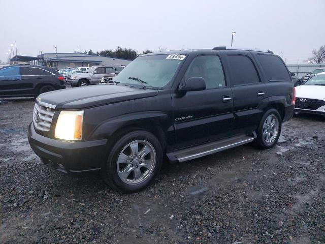 CADILLAC ESCALADE L 2005 black 4dr spor gas 1GYEK63N05R243864 photo #1