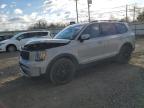 2023 KIA TELLURIDE - 5XYP5DGC8PG389109