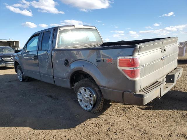 Vin: 1ftex1ew0afc06793, lot: 47229745, ford f-150 super cab 20102