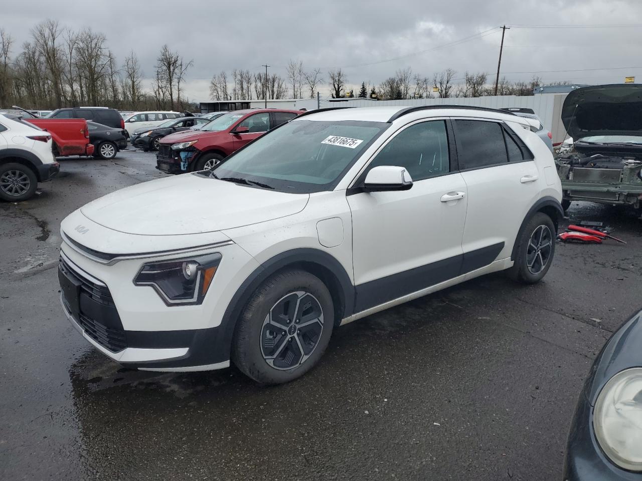 KIA NIRO EX