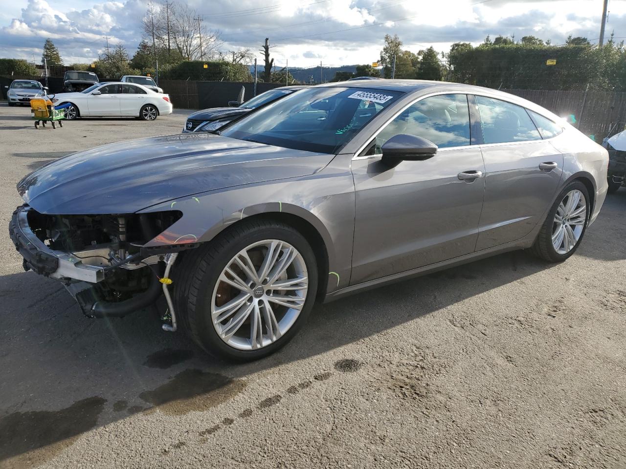 WAUS2AF22KN058454 AUDI A7 PRESTIG 2019