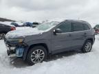 2019 JEEP CHEROKEE L - 1C4PJMLB7KD141336