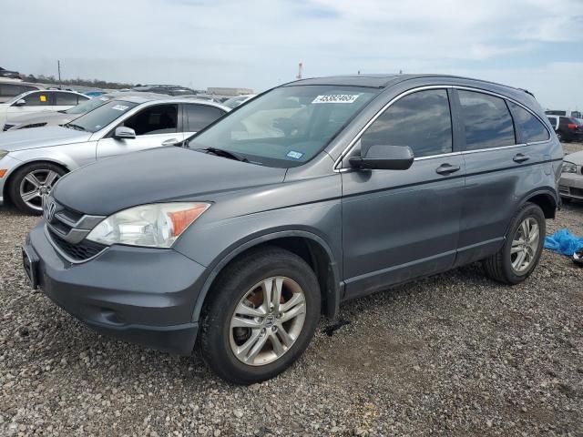 Vin: 5j6re3h73al023164, lot: 45382465, honda crv exl 2010 img_1