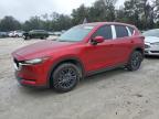 Top Destinations for Shipping Cars from the USA