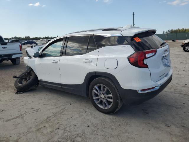 Vin: 3gkalvegxpl172228, lot: 46602035, gmc terrain slt 20232