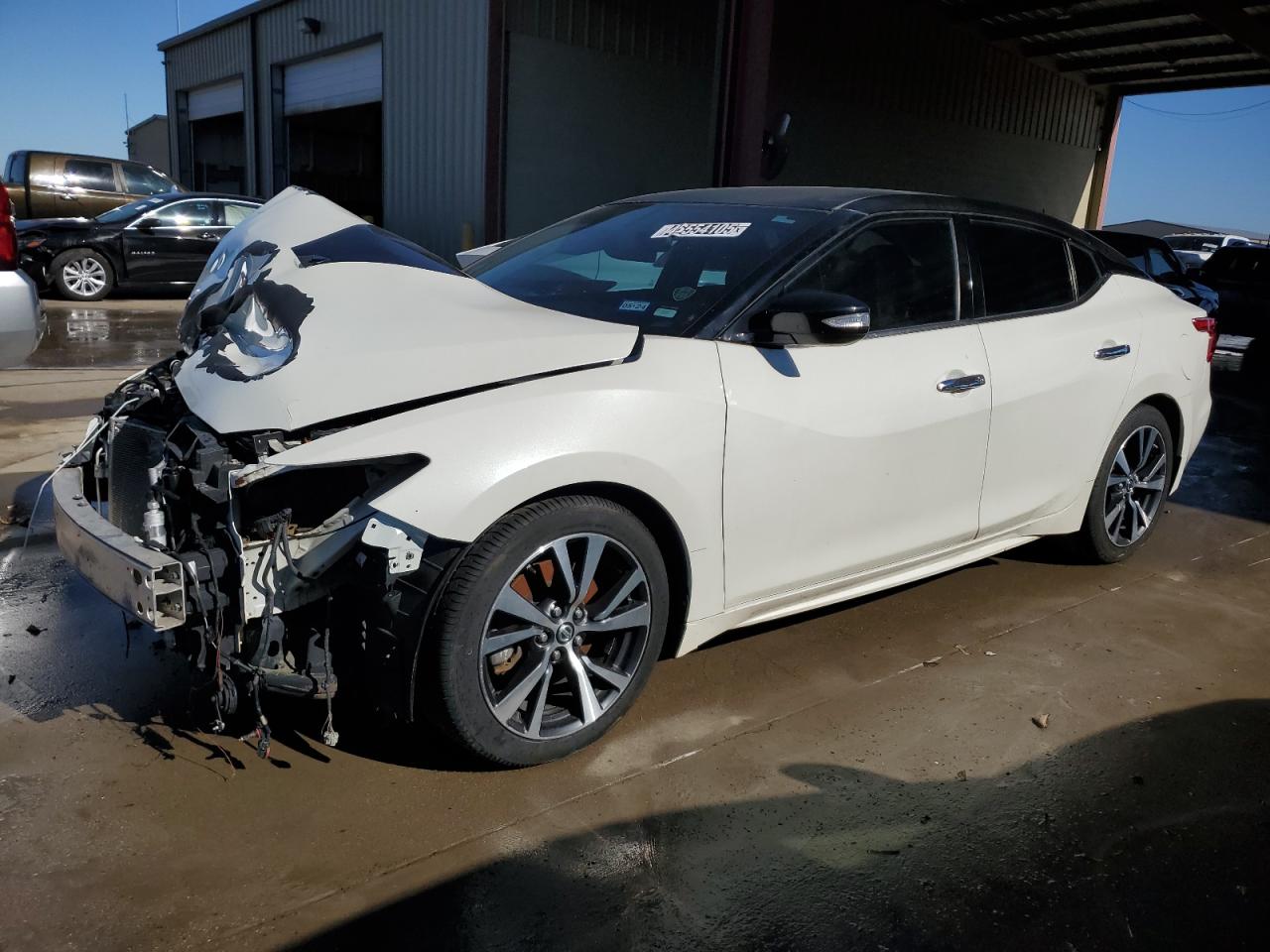 1N4AA6AP6HC366545 NISSAN MAXIMA 3.5 2017