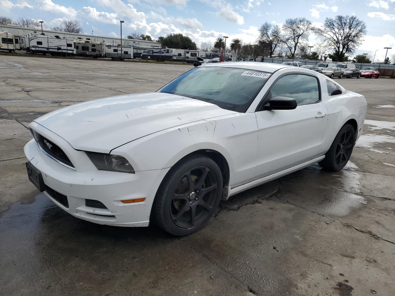 FORD MUSTANG