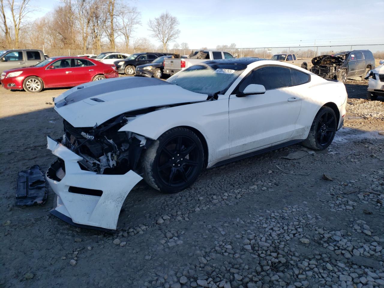 FORD MUSTANG