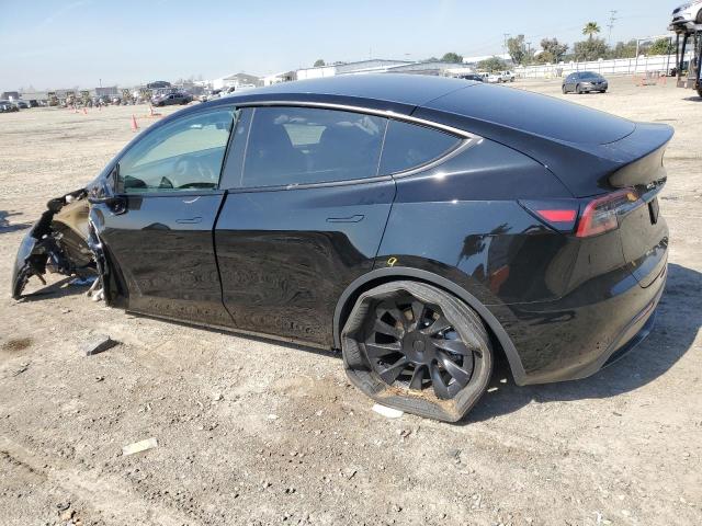 2024 TESLA MODEL Y 7SAYGDED3RF049437
