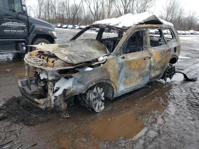 Vin: 5xyp24gc9pg378662, lot: 50388325, kia telluride lx 2023 img_1