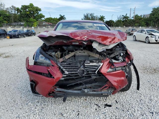 2020 LEXUS NX 300 JTJDARBZ6L5005254