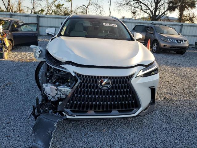 2025 LEXUS NX 350 LUX JTJHGCEZ5S2023396
