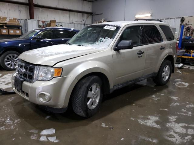 Vin: 1fmcu0dg0akc51725, lot: 45415035, ford escape xlt 2010 img_1