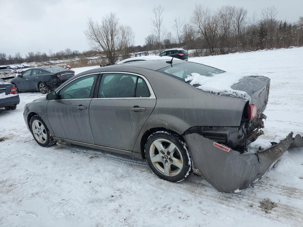 CHEVROLET MALIBU 1LT