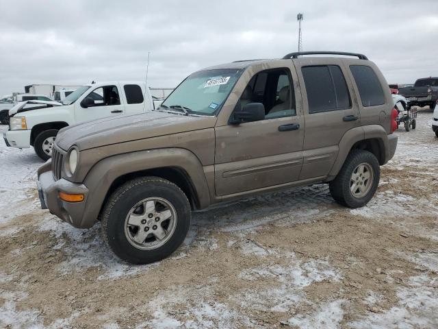 JEEP LIBERTY LI