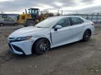 2023 TOYOTA CAMRY SE N - 4T1G11AK0PU180807