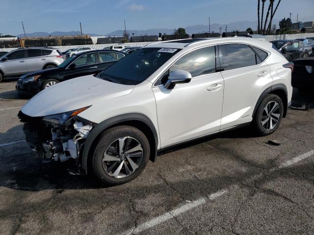 Vin: jtjgjrdz9l5007266, lot: 45934675, lexus nx 300h 2020 img_1