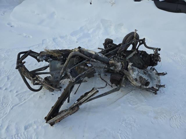 SKI DOO EXPEDITION 2011 burn   YH2SSPBB6BR000236 photo #3