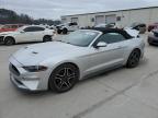 2019 FORD MUSTANG - 1FATP8UH2K5181962