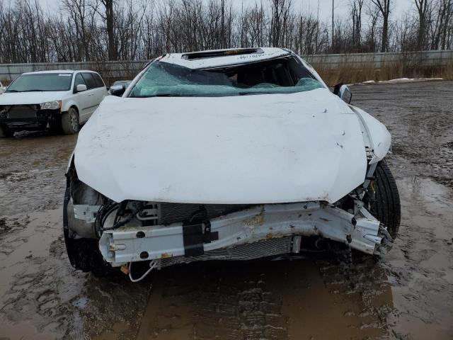 2019 FORD TAURUS LIM - 1FAHP2J85KG116809