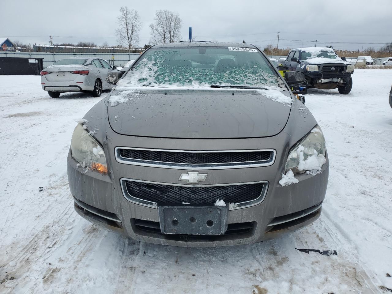 CHEVROLET MALIBU 1LT