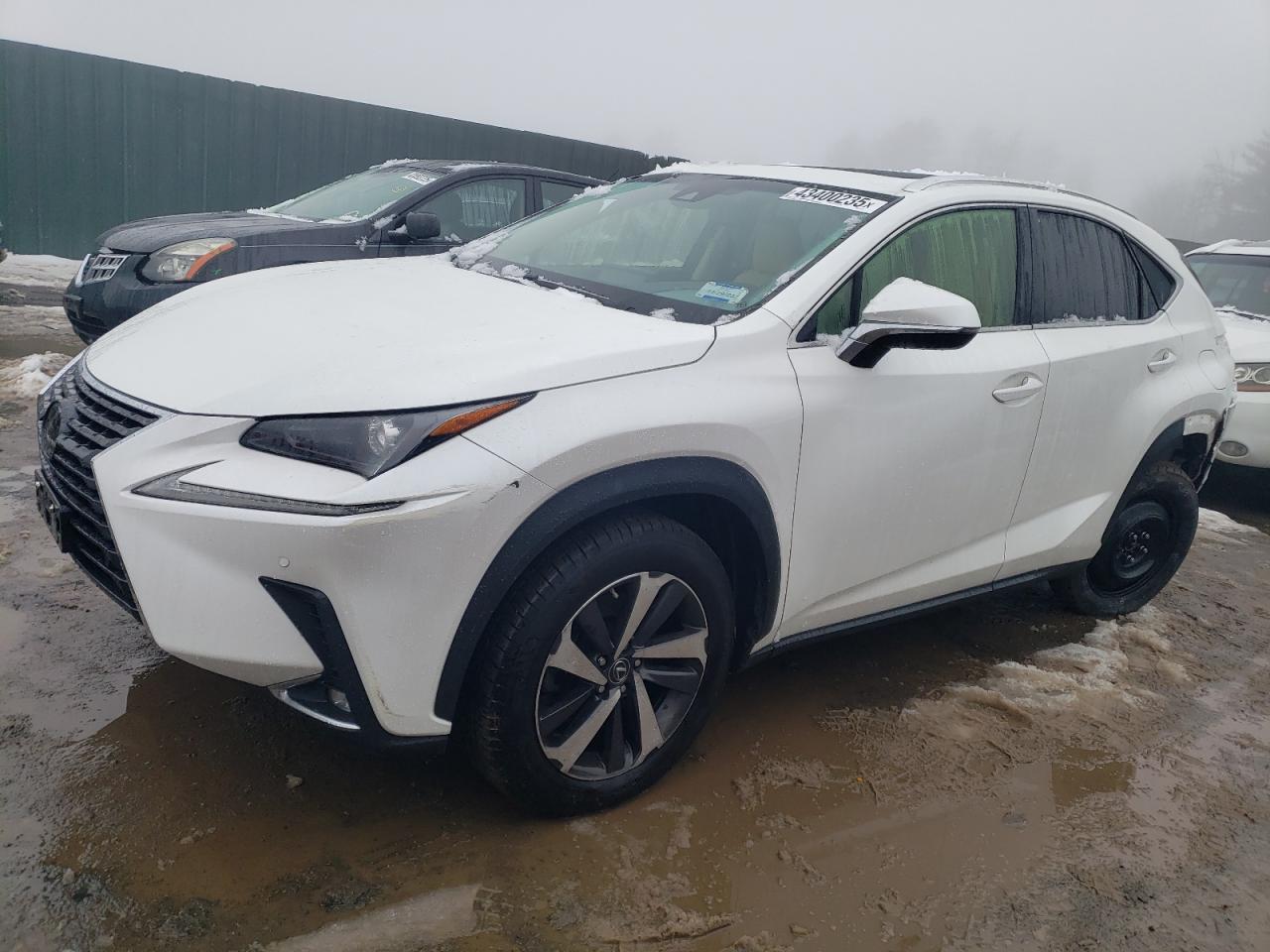 JTJBARBZ2K2206236 LEXUS NX 300 BAS 2019