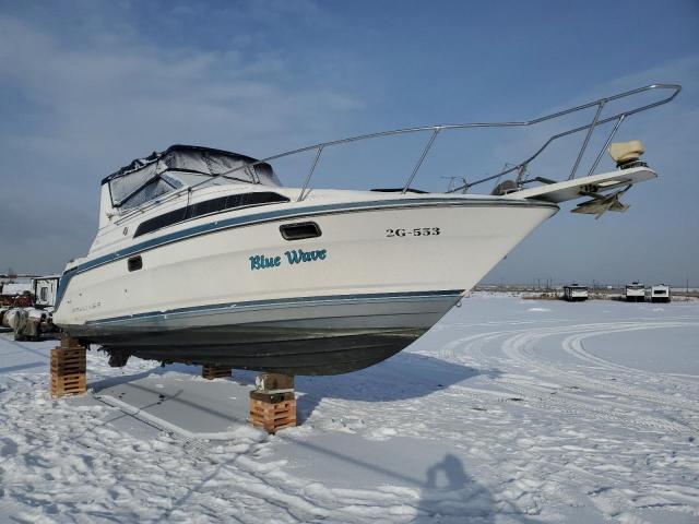 BAYLINER 20FT BOAT 1991 white   BL2B44STA191 photo #1