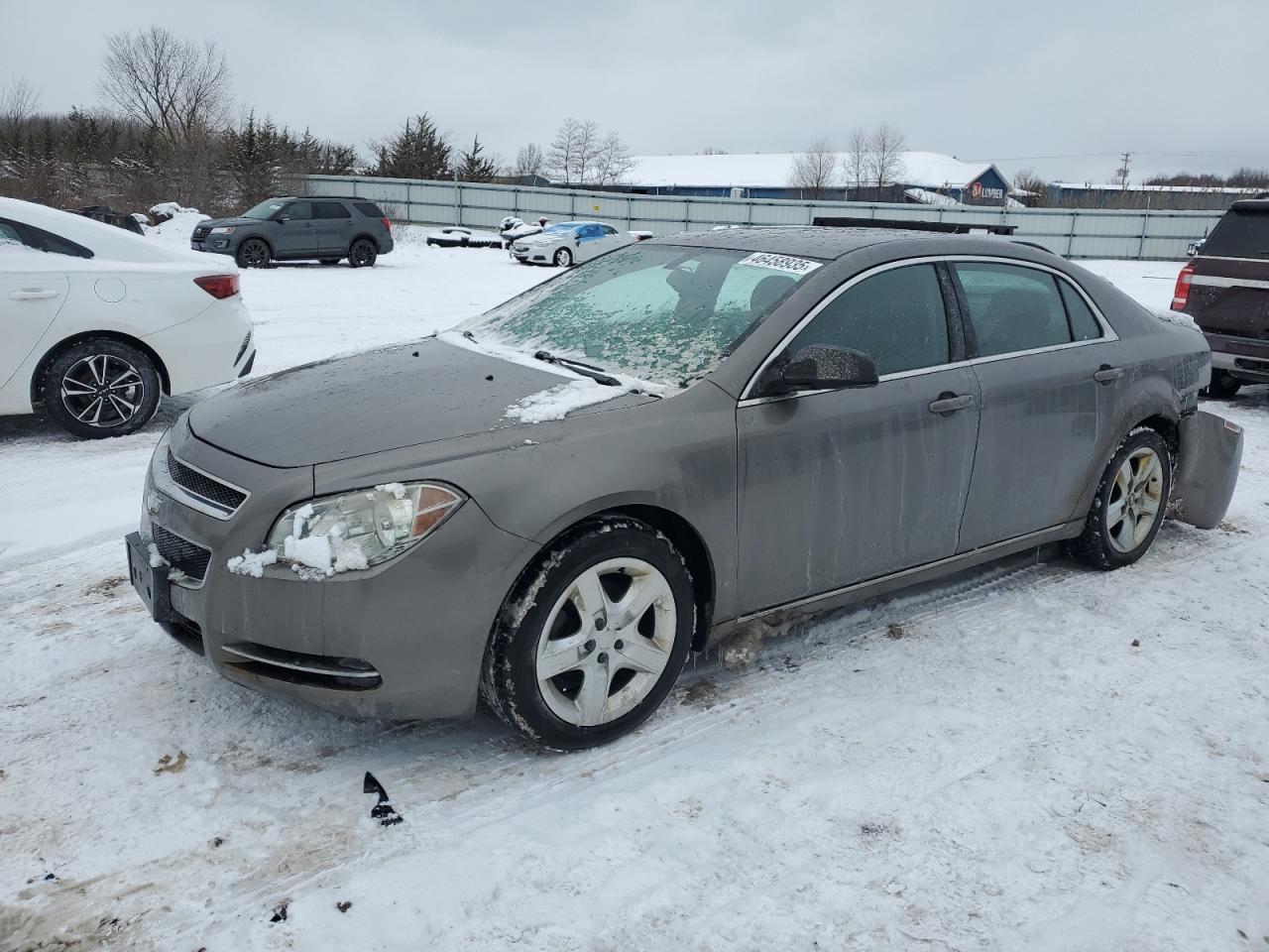 CHEVROLET MALIBU 1LT