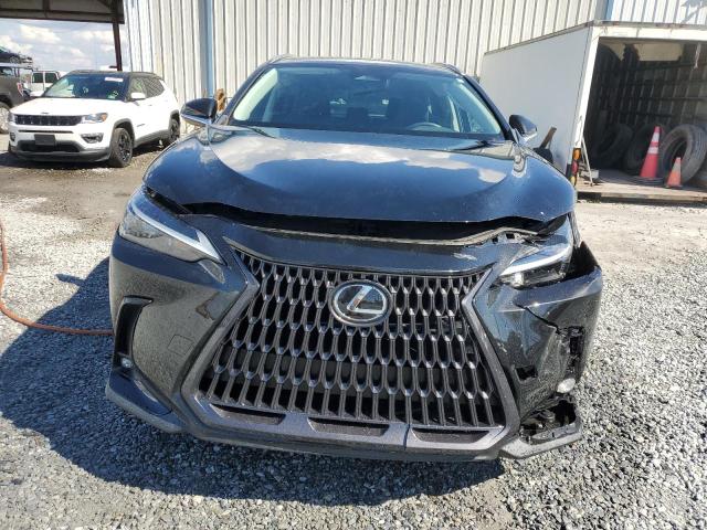 2023 LEXUS NX 250 2T2ADCAZ0PC004097