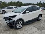 2016 FORD ESCAPE TIT - 1FMCU0JX1GUC66011